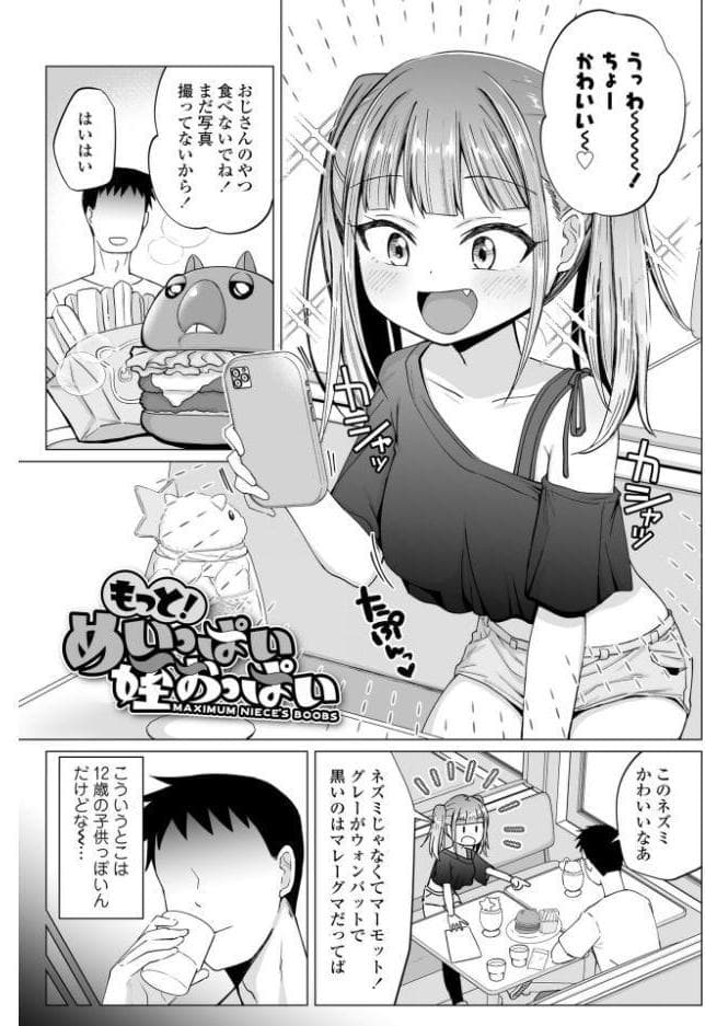 めすがきどちゅどちゅ【FANZA限定特典付き】 hitomiエロ漫画raw(同人誌)無料サンプル画像004
